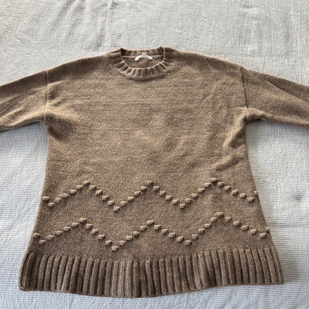 Splendid Brown Crew Neck Sweater